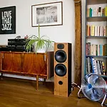 Leveloft - Przestronny, Stylowy Na Zielonej Ulicy W Centrum Wrocław