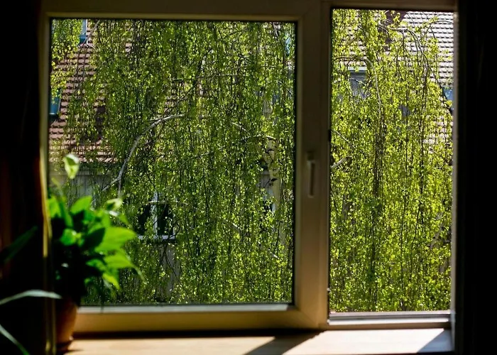 Leveloft - Przestronny, Stylowy Na Zielonej Ulicy W Centrum Wrocław