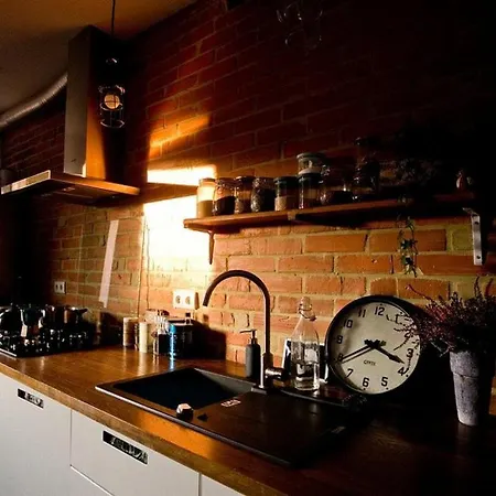 Leveloft - Przestronny, Stylowy Na Zielonej Ulicy W Centrum ヴロツワフ