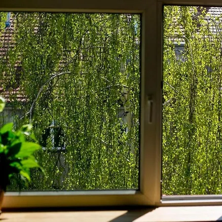 Leveloft - Przestronny, Stylowy Na Zielonej Ulicy W Centrum ヴロツワフ